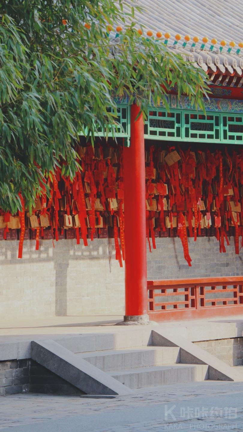 场地图 6