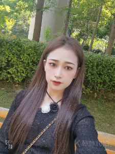 一只居居猪猪
