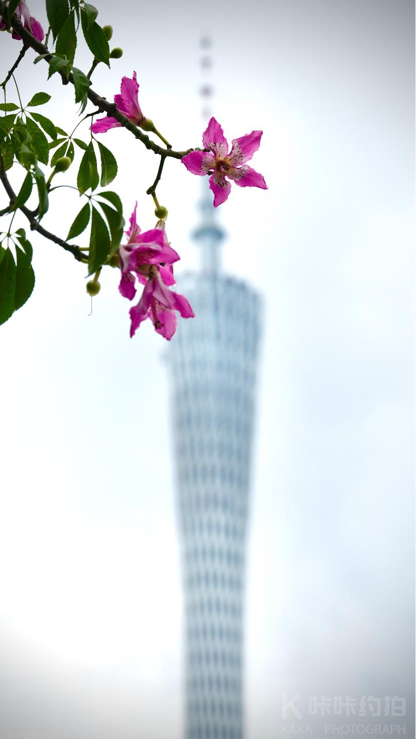 作品图 3