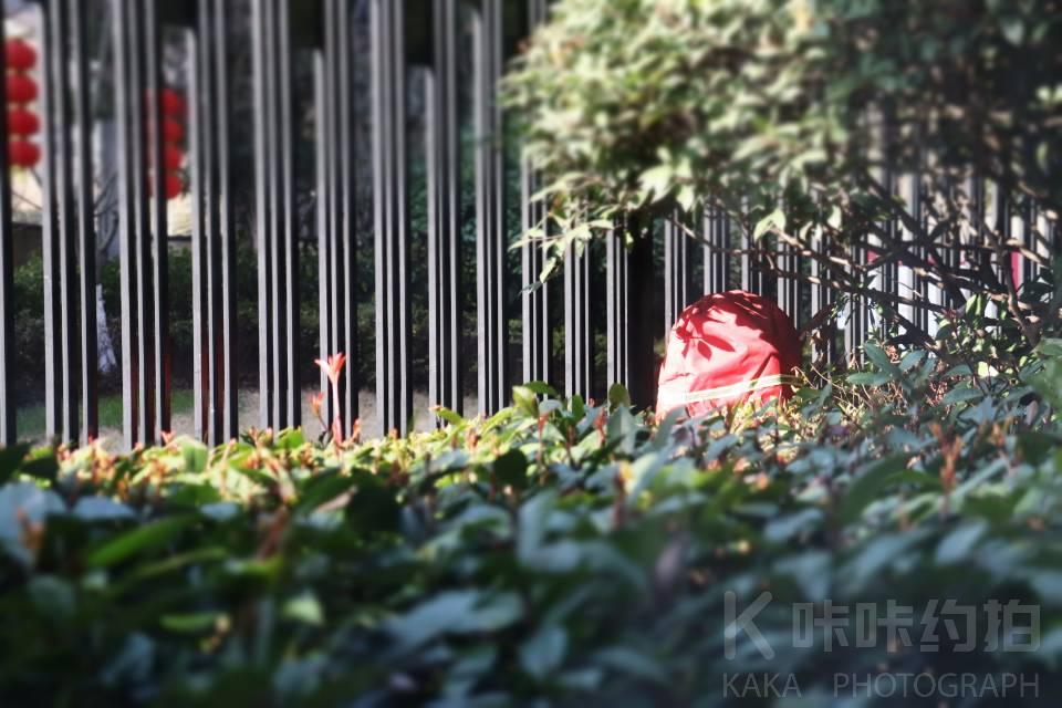 作品图 1