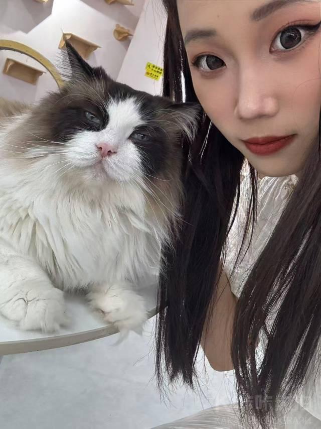 作品图 3