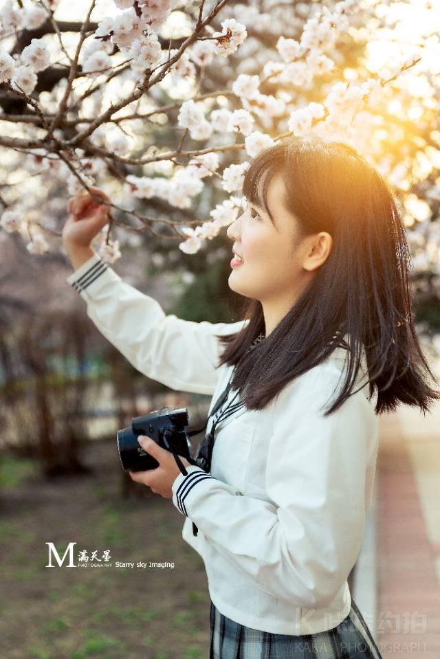 作品图 9