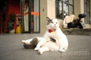 张三
