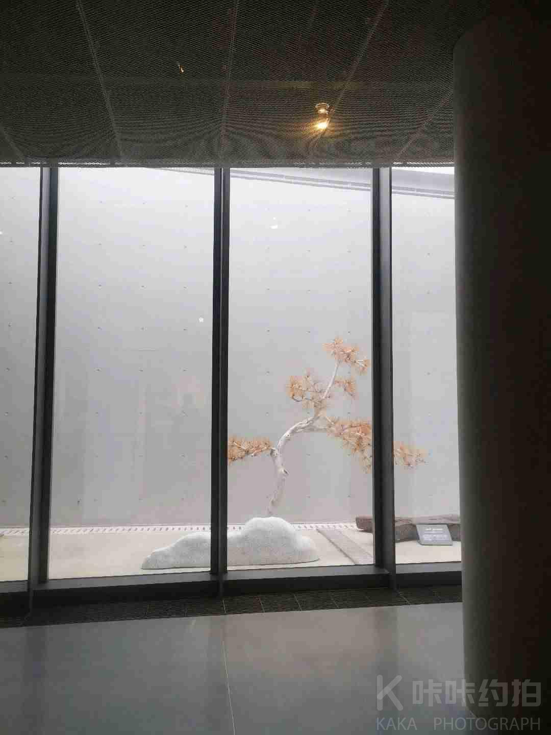 场地图 6