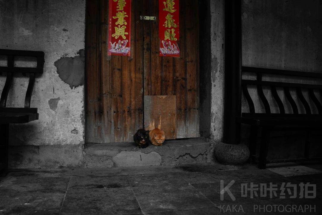 张三