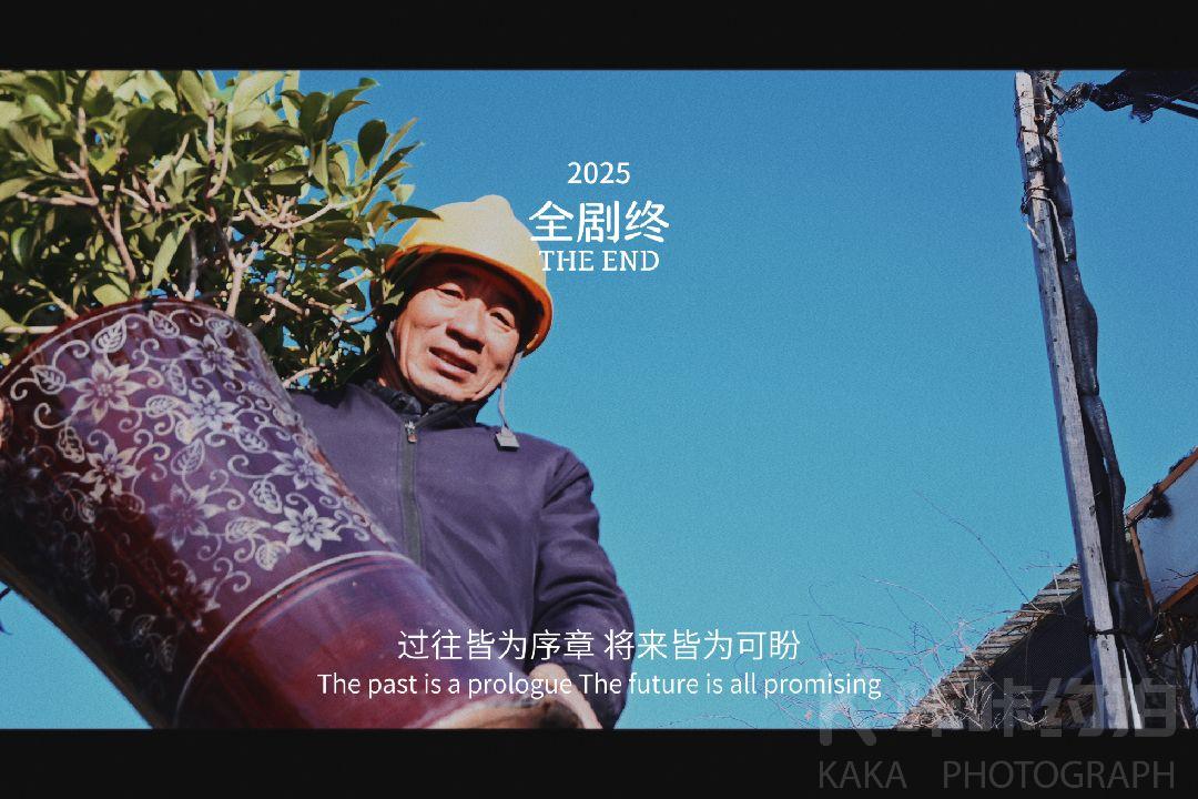 作品图 4