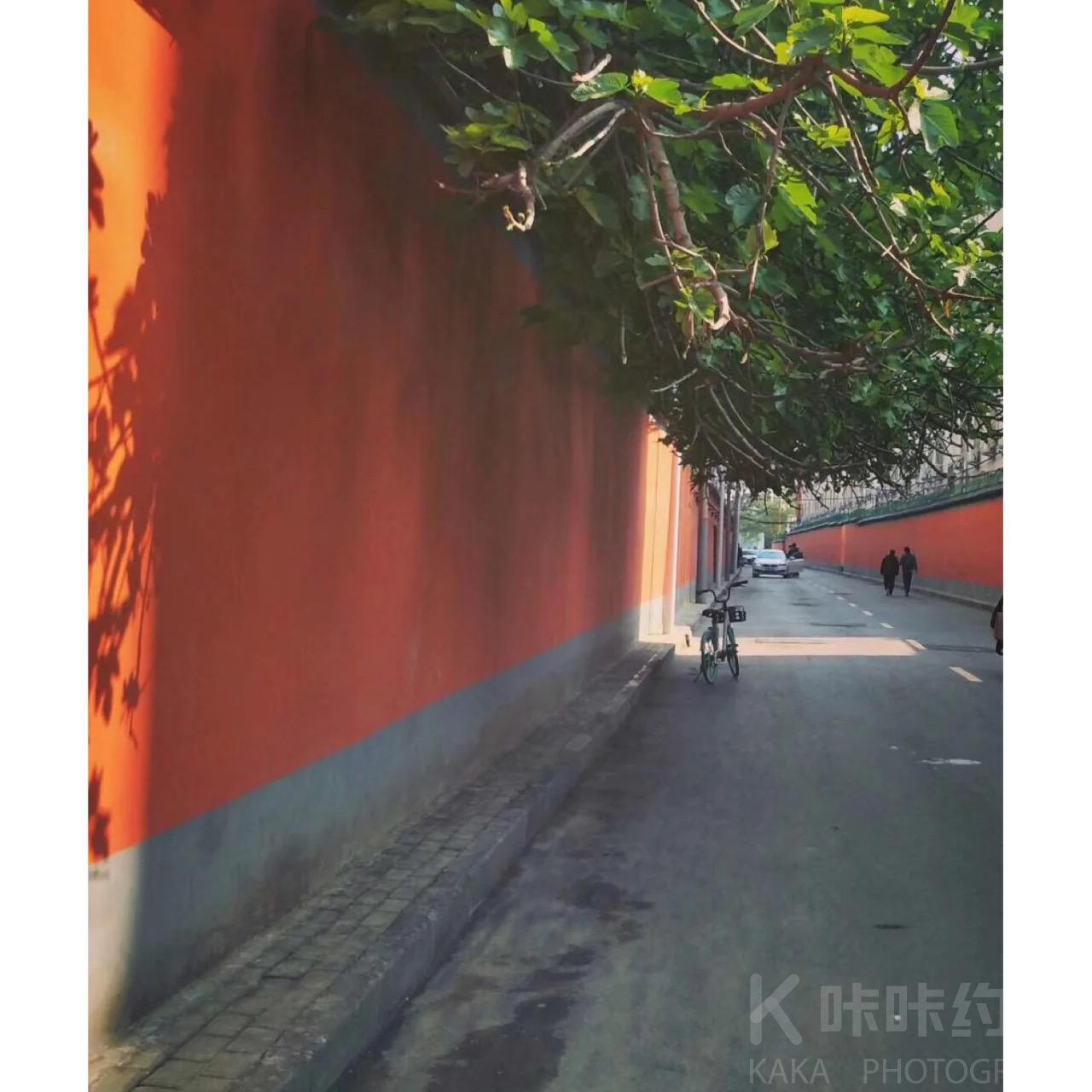 场地图 2