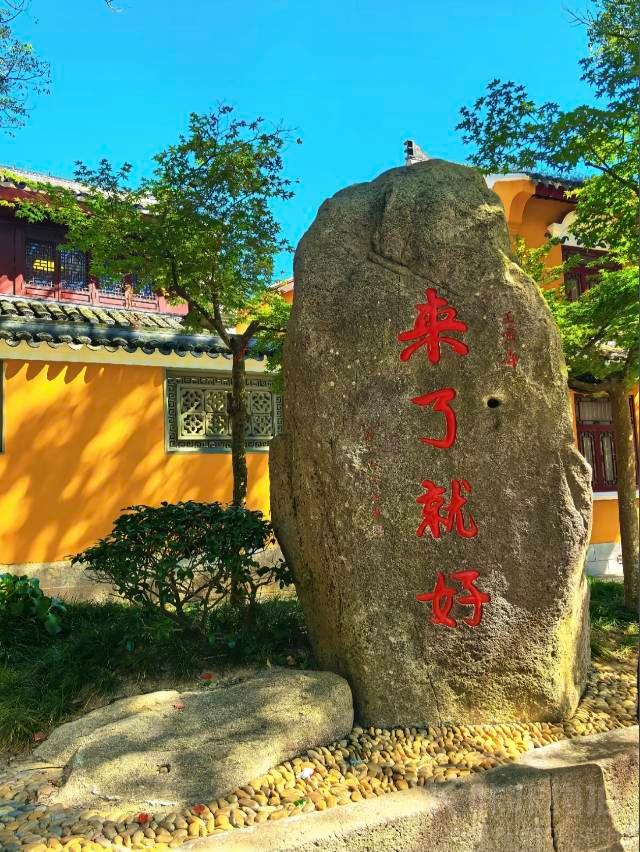 作品图 5