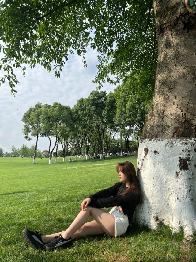 作品图 3