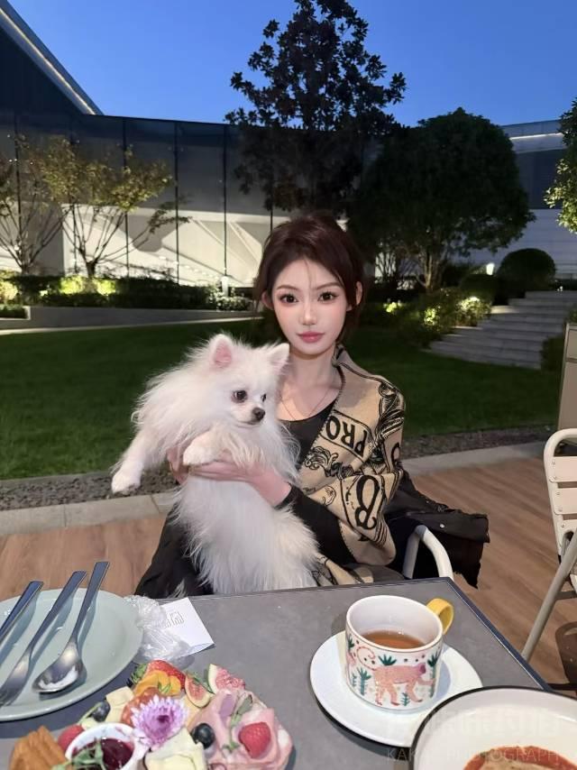 作品图 8