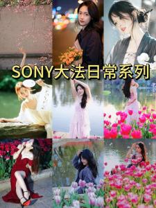 张张摄影师