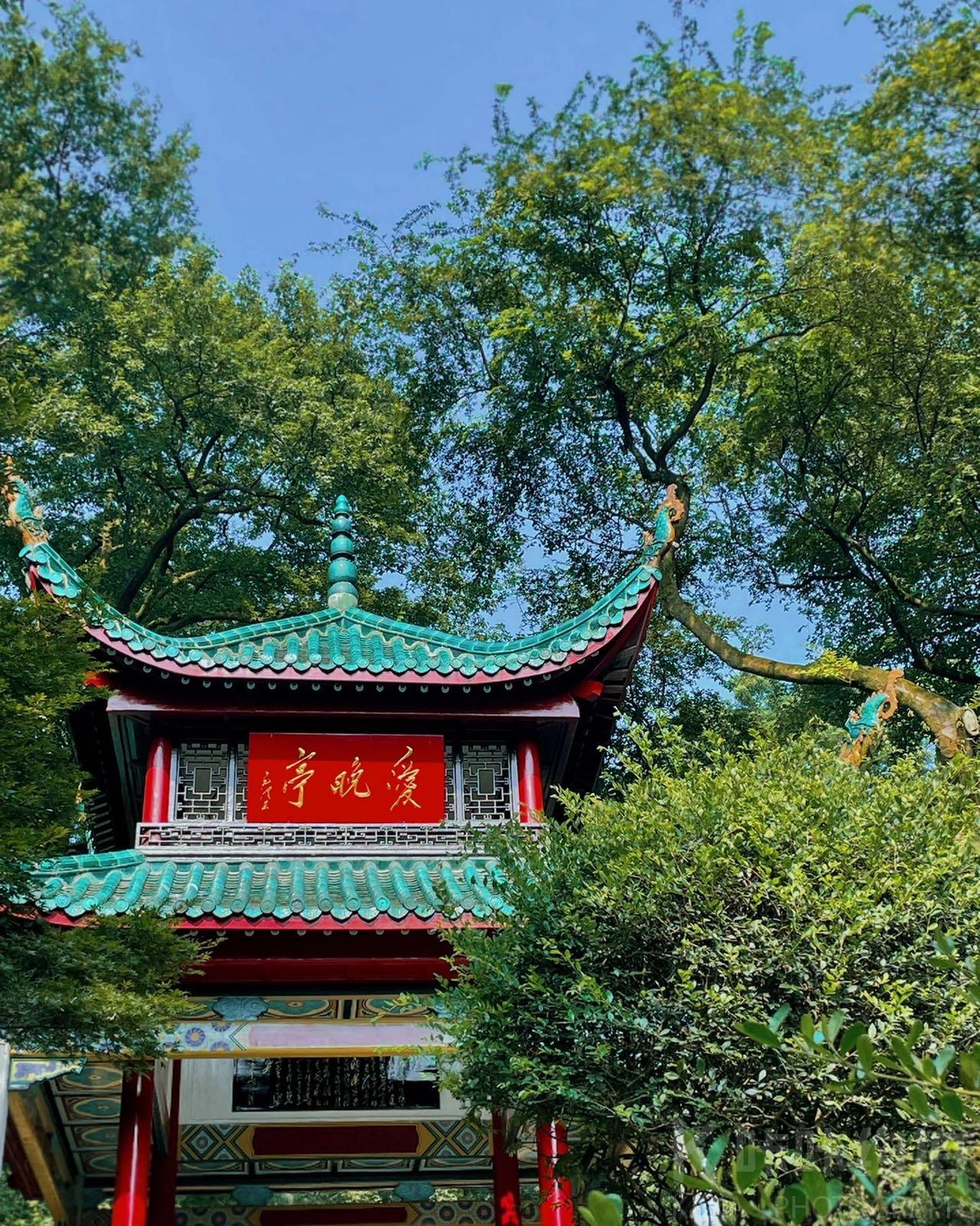 场地图 3
