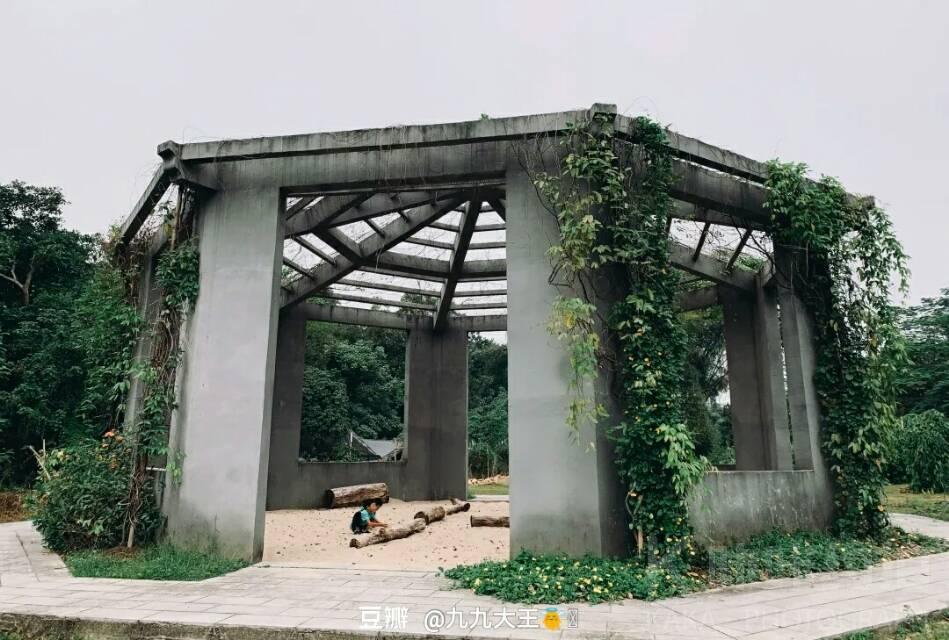 场地图 6