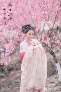 落花听雨