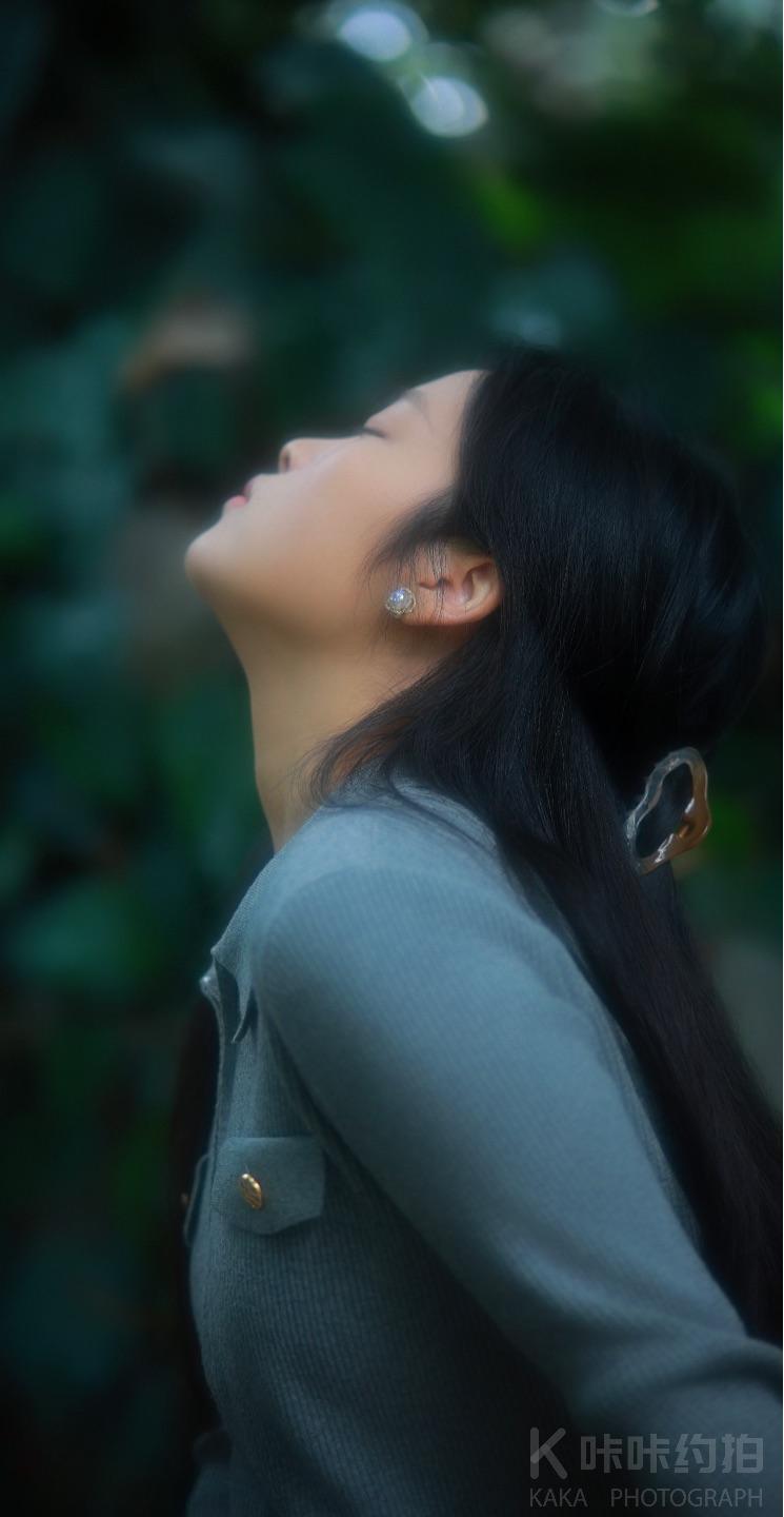 作品图 1