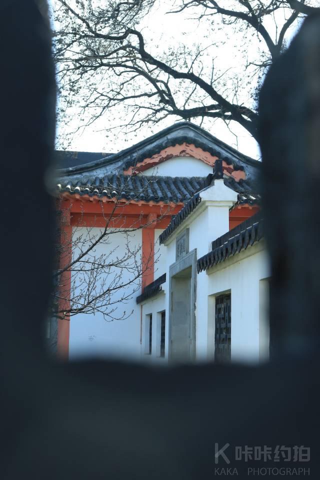 作品图 3