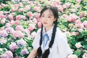 萝卜
