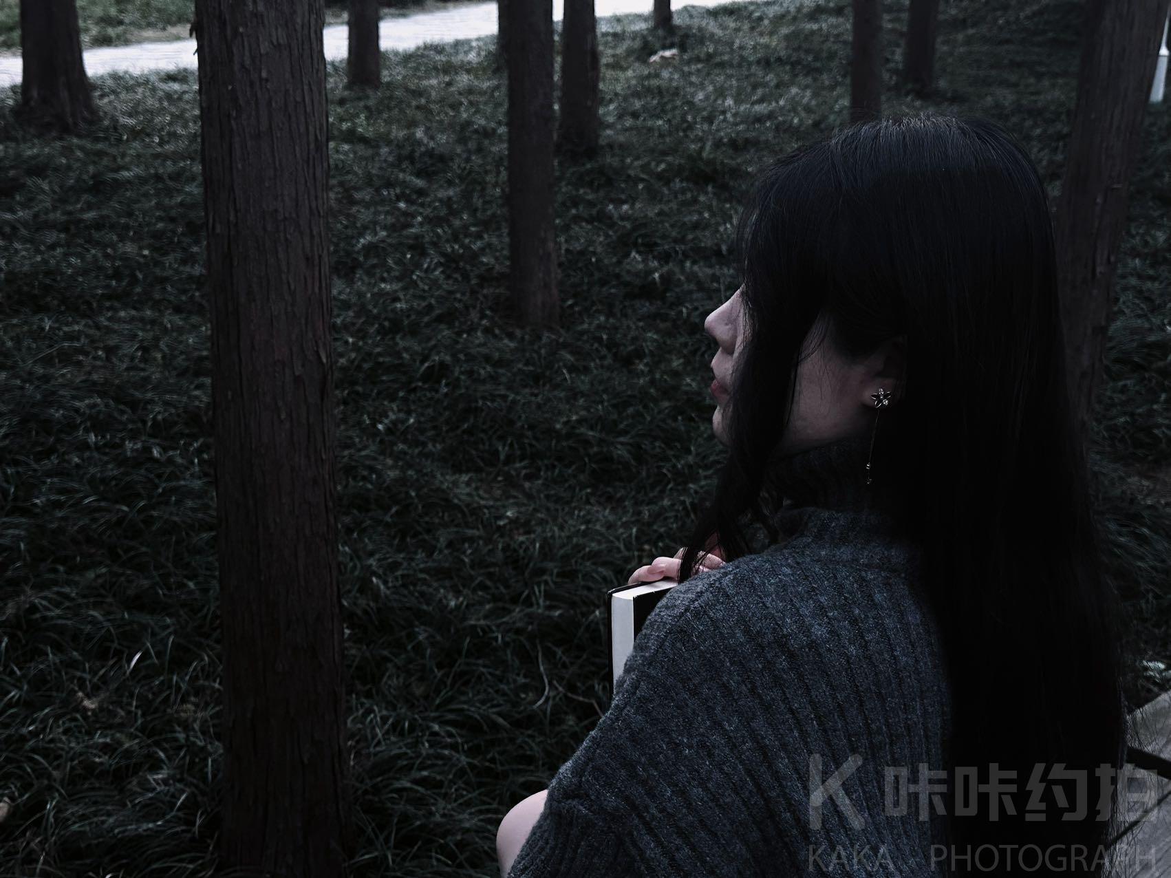 作品图 2
