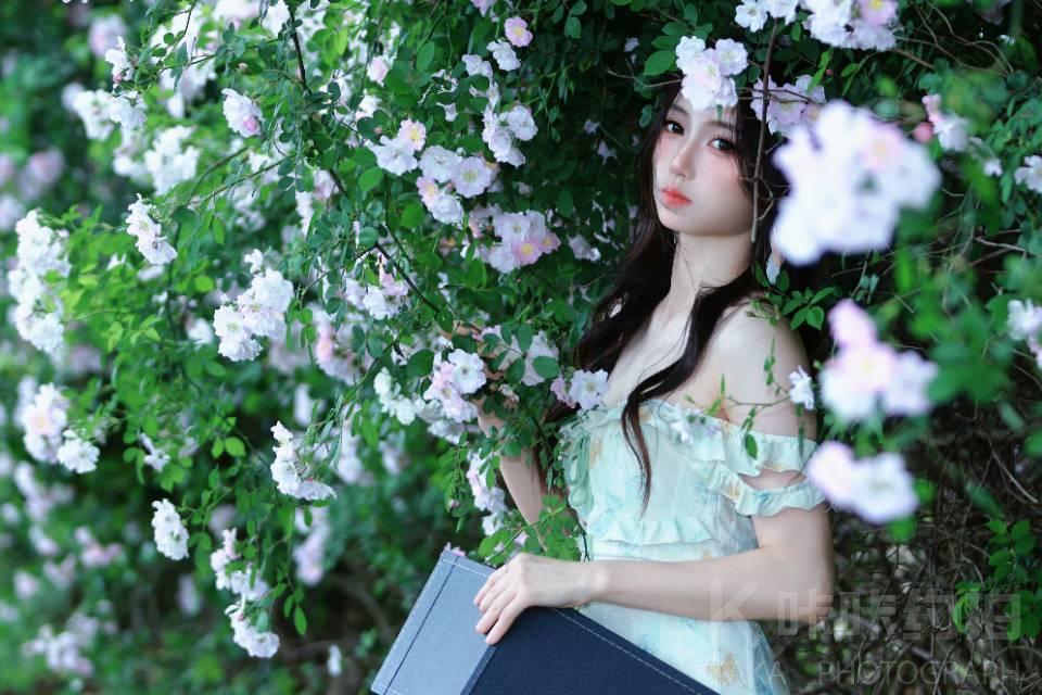 作品图 9