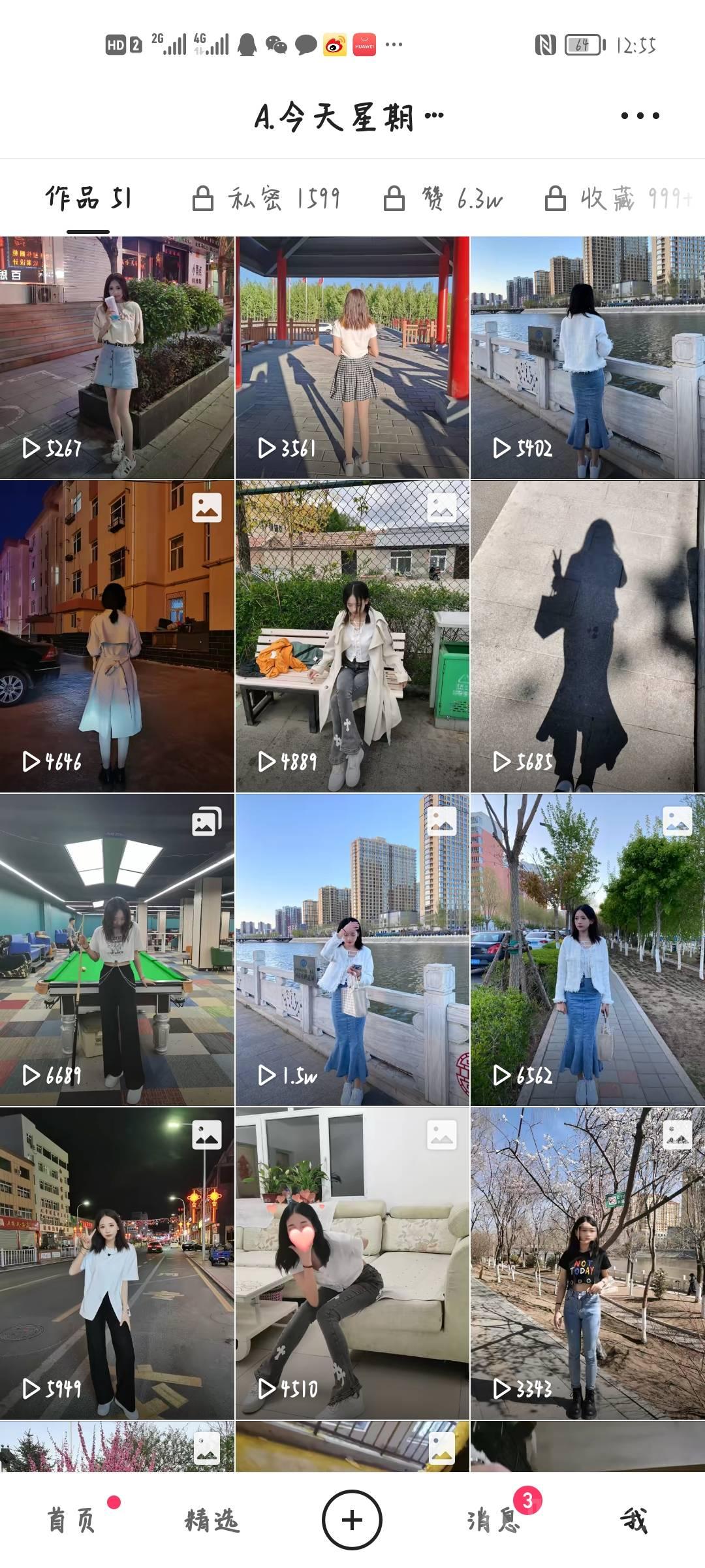 作品图 4