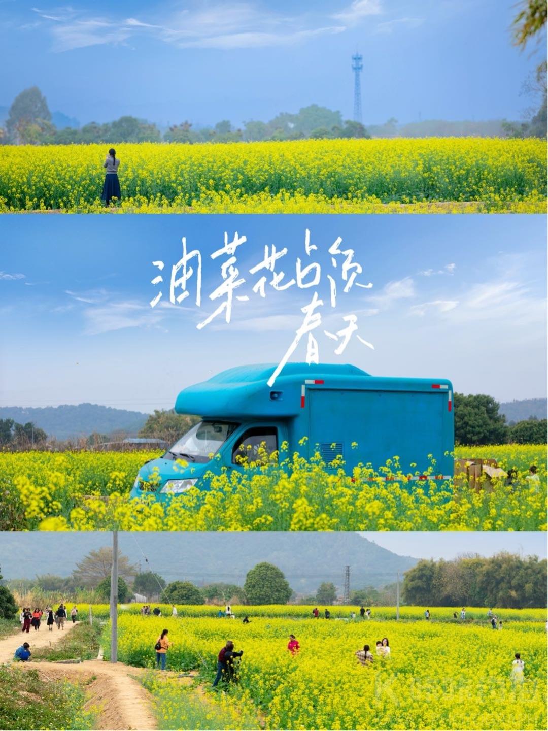 作品图 10