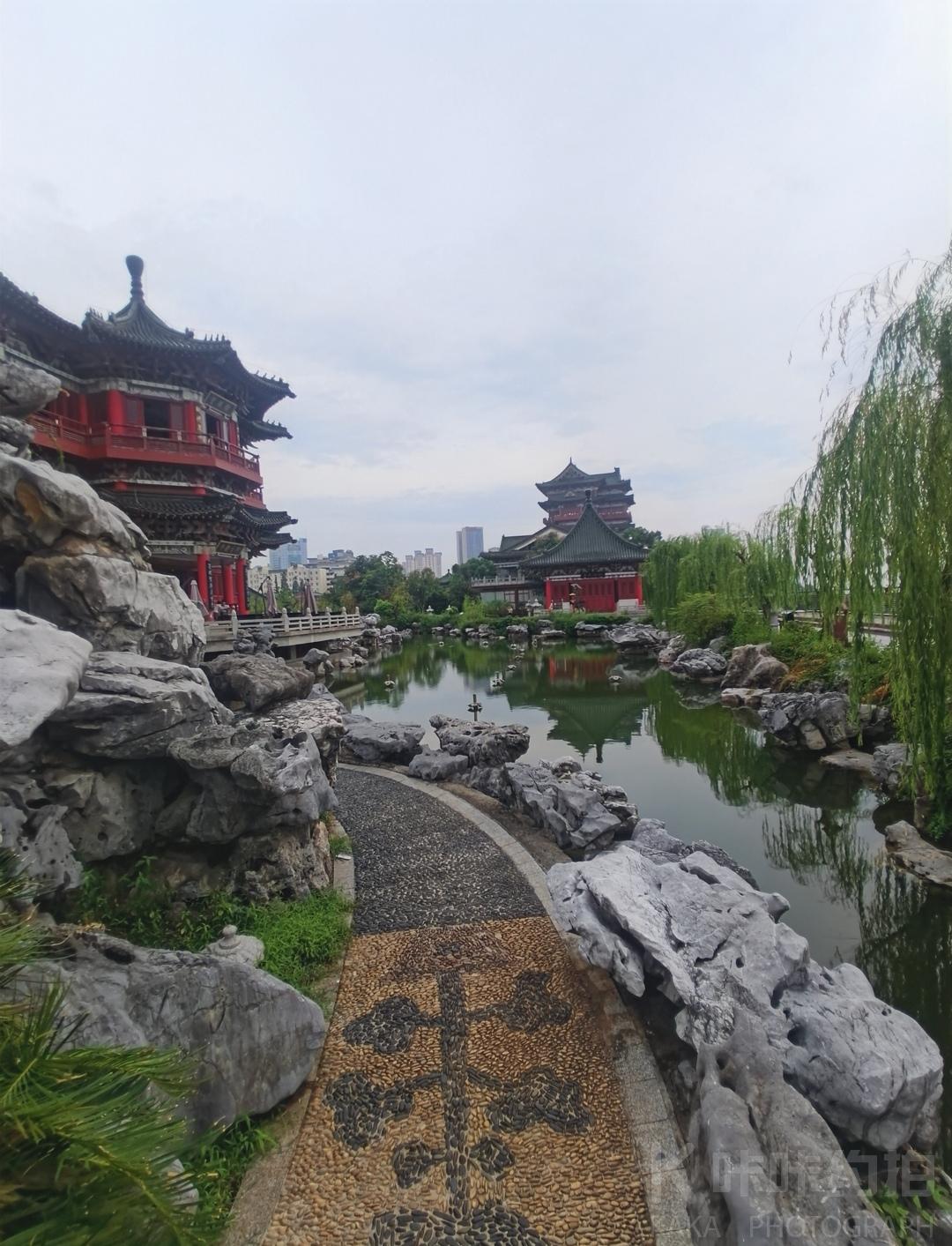 场地图 5