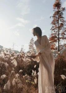 木槿