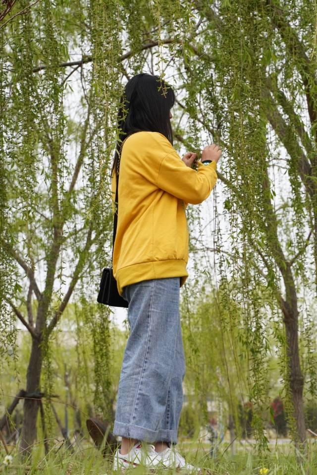 作品图 1