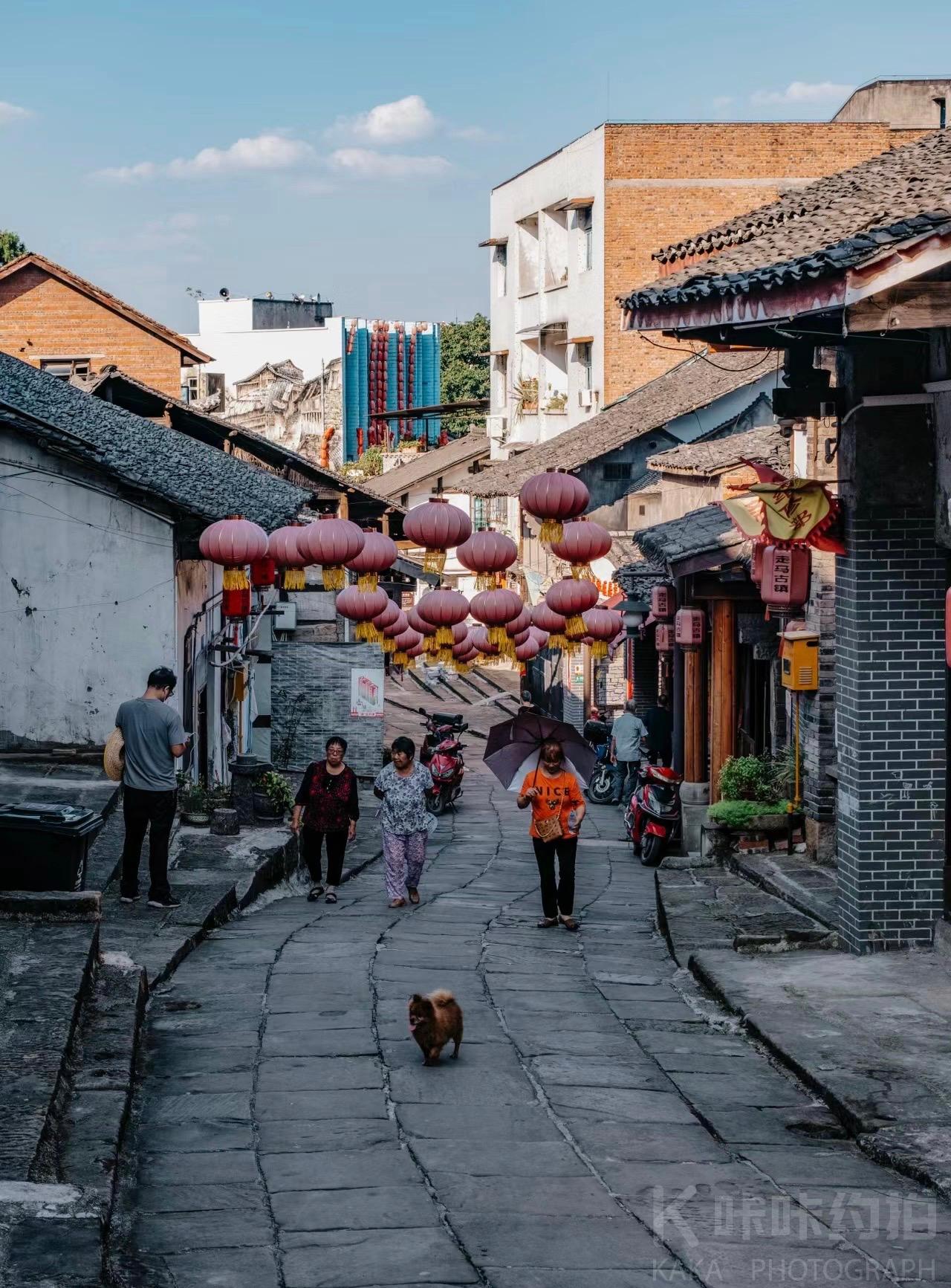 场地图 5
