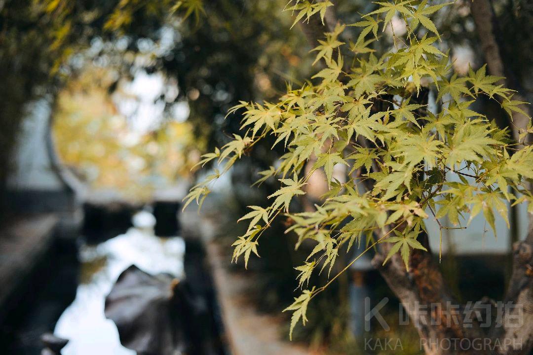 李李