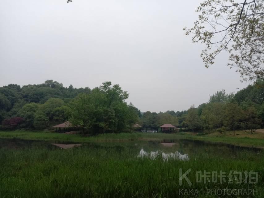 西湖周边