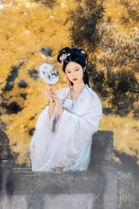 一叶倾风
