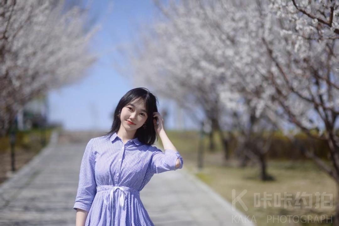 作品图 5