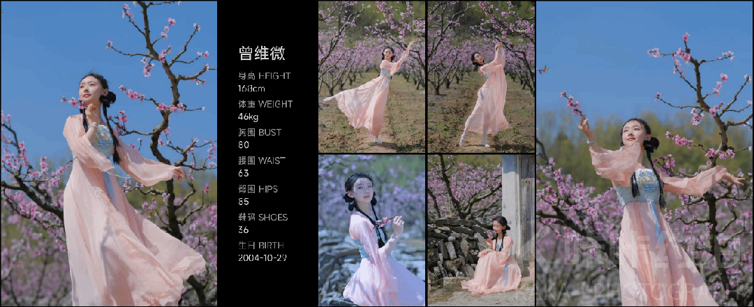 作品图 4