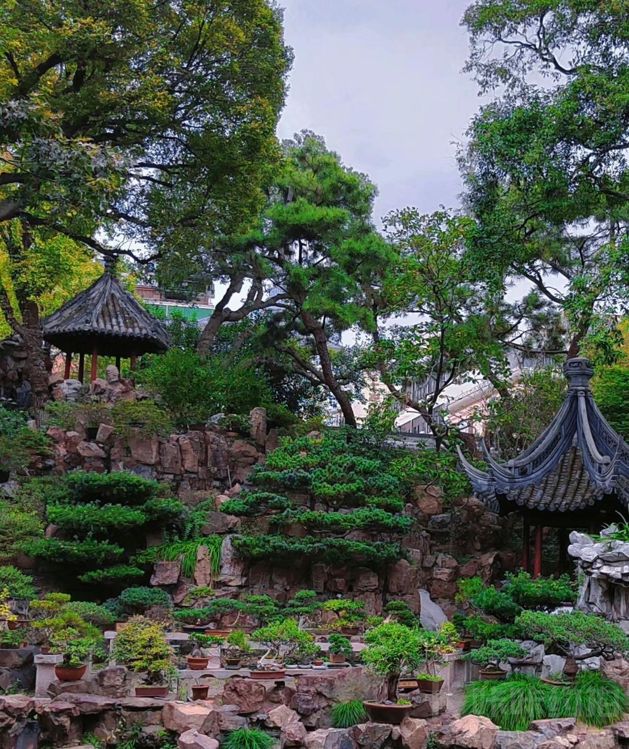 场地图 2