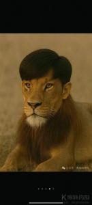 汤姆猫