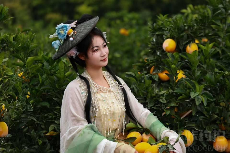 作品图 7