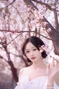 楚楚