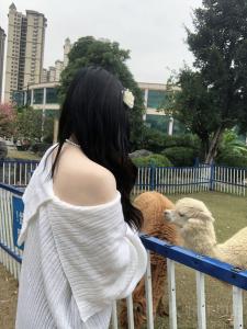 xuyin-
