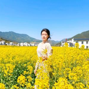 香菜精