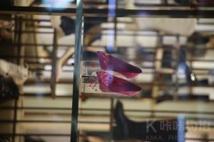 好玩爱玩还要