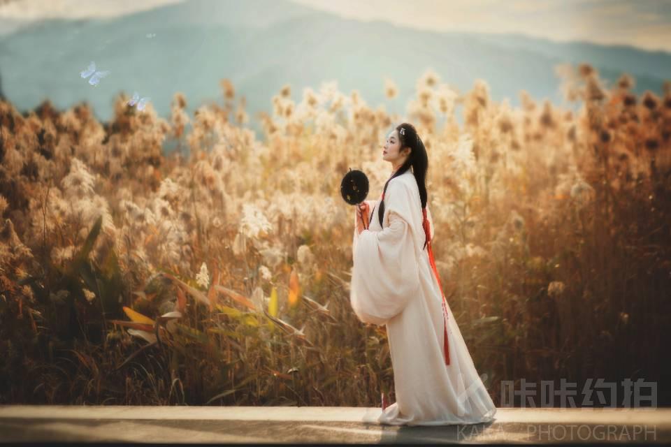 作品图 1