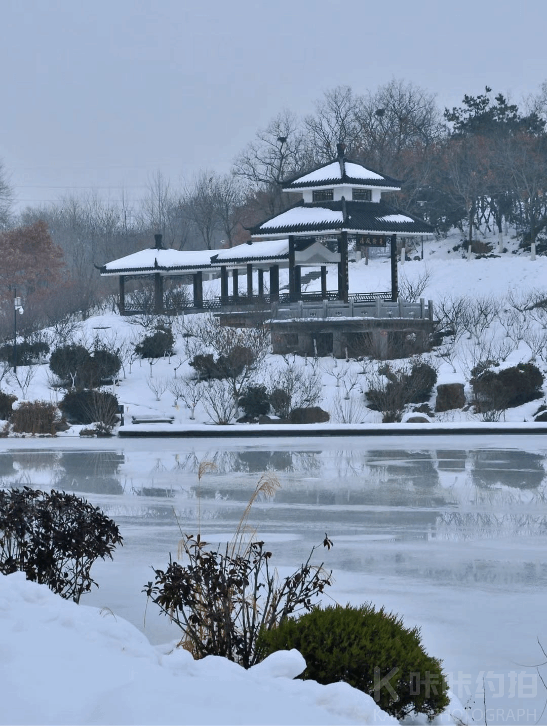 场地图 4