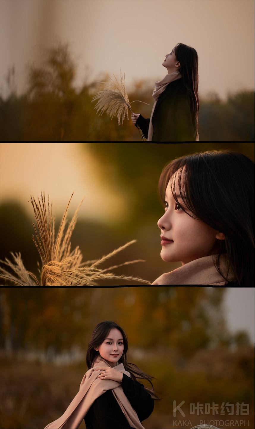作品图 3