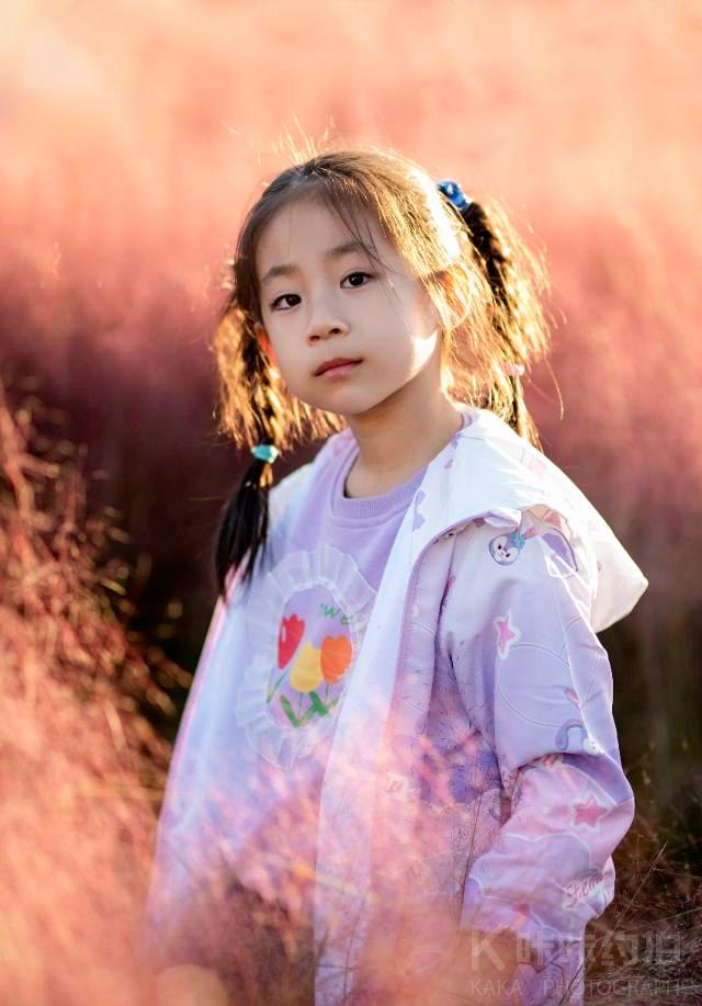 作品图 1