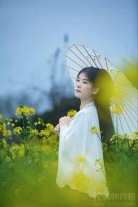 菲米