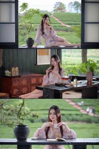 乌龙茶