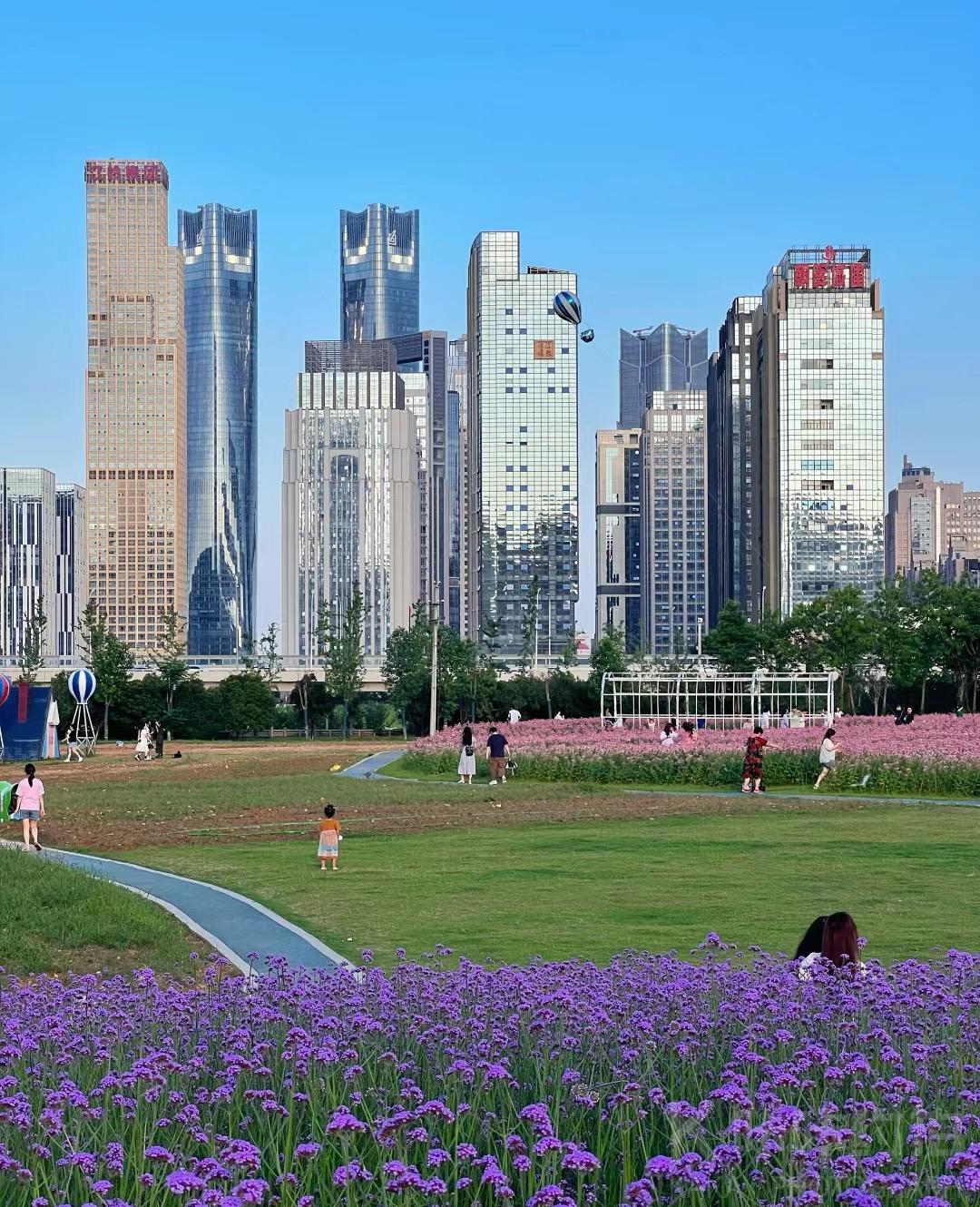 场地图 2