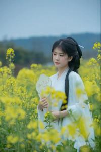 菲米