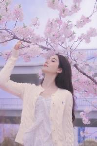 CraZy文